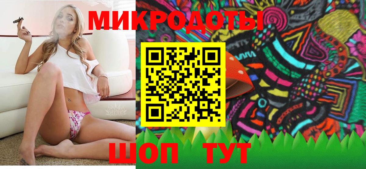 Псилоцибиновые грибы Psilocybe Кумертау