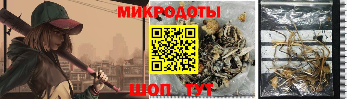 Галлюциногенные грибы Psilocybe  Вход с VPN  наркотики  Кумертау 